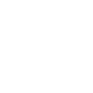 logo international summit white